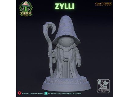 720X720 zilly 02[1]