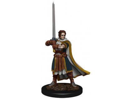 WizKids - D&D Icons of the Realms: Premium Painted Figure - Human Cleric Male