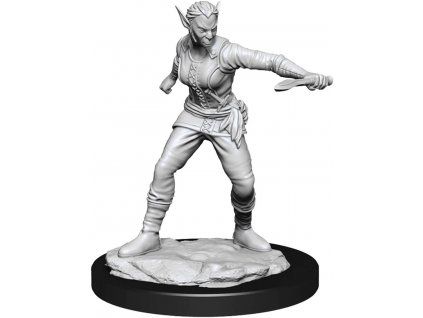 WizKids - D&D Nolzur's Marvelous Miniatures - Shifter Rogue Female