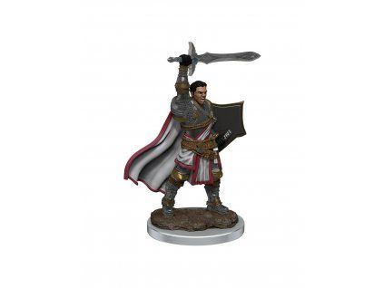 WizKids - D&D Icons of the Realms Premium Figures: Male Human Paladin