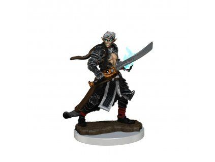 WizKids - Pathfinder Painted Premium: Male Elf Magus
