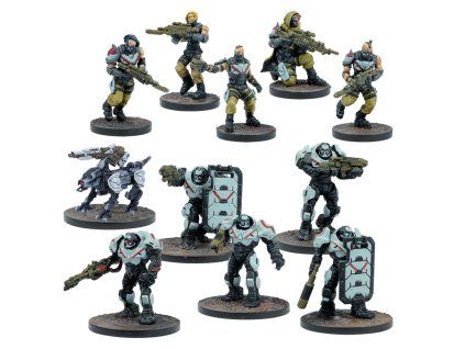 dz enforcer insurgence protocol booster