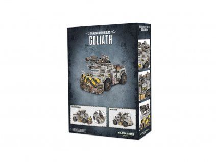 26106 99120117002 goliath09