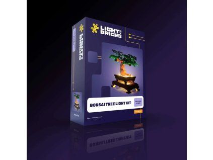 BonsaiTree10281 BOX 1000x