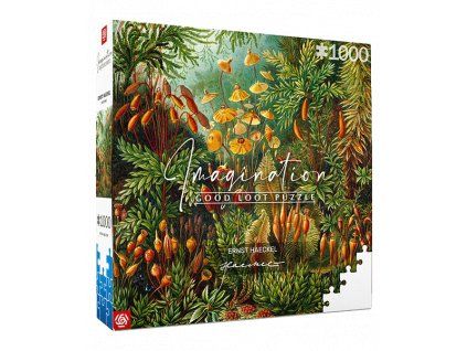 eh muscinae puzzle box 3d 500x600