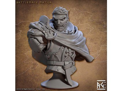 Merged Battlemage Matija  Vanguard Fighters