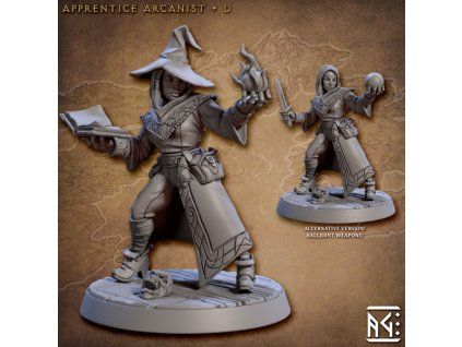 Apprentice Arcanist D 600x600[1]