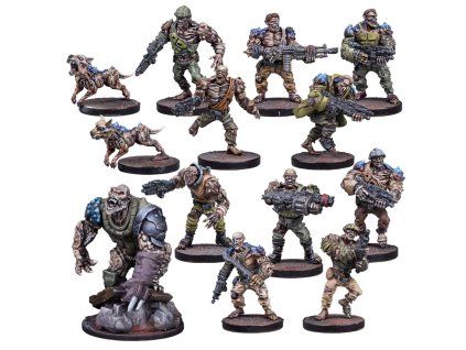 dz plague infection starter[1]