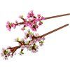LEGO® Botanicals Třešňové květy 40725