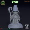 720X720 zilly 02[1]