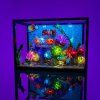 Tropical Aquarium 10366 iso lights on day[1]