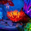 Tropical Aquarium 10366 close orange e332f96e 1da5 408f bb8a bbf138ed2bbd[1]