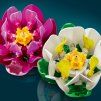 11511 BOTANICALS 2HY26 EcommerceMobile NOTEXT 3000x3000 5