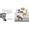 zebra 1200x600[1]