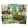 06 smiseny les dartmoor[1]