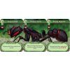 Poškozené - March of the Ants: Evolved Edition