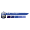 94058 1 tone pro swatch shalaxi violet[1]