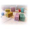 Fox in the Box - Pax Pamir