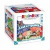 ADC Blackfire - BrainBox - Česká republika