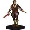 WizKids - D&D Icons of the Realms: Premium Painted Figure - Human Rogue Male