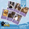 Alex Lu - Dogs Bond