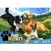 Alex Lu - Dogs Bond