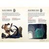 Penguin Random House - The Young Adventurer's Collection Dungeons & Dragons 4-Book Boxed Set