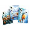 Meadow Downstream cards 3