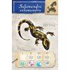 ENCYCLOPEDIA CARTES Animaux 65x100mm91