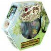 Honey Buzz Deluxe Components 1 82652.1631124891[1]