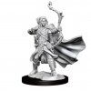 25437 3 dd frameworks elf ranger male 650a5311[1]