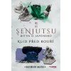 klid pred bouri cover