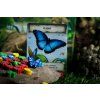 Evolution: New World – Butterfly Effect
