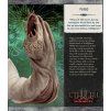 Cool Mini Or Not - Cthulhu: Death May Die - Season 2 Expansion