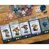 Mycelia - Deluxe edice EN  (Mycelia CZ)