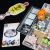 kyoto no neko fr en (5)