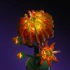 Chrysanthemum10368 Close Petal 1000x
