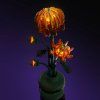 Chrysanthemum10368 Close All Petals 1000x