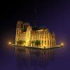 Notre DamedeParis21061 Iso Back Right 1000x