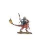 Age of Sigmar: Seraphon: Aggradon Lancers