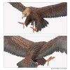 99121499062 GreatEaglesandFledglings5a[1]