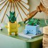 LEGO® Botanicals Veselé rostlinky 10349  Happy Plants