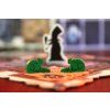 Donžon: Strážci v zácviku  (Donjon CZ)