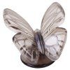 Butterfly Garden: Black Butterflies